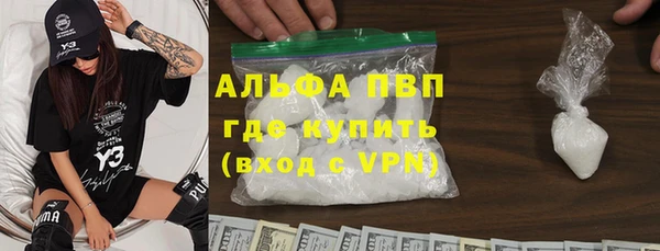стафф Алзамай