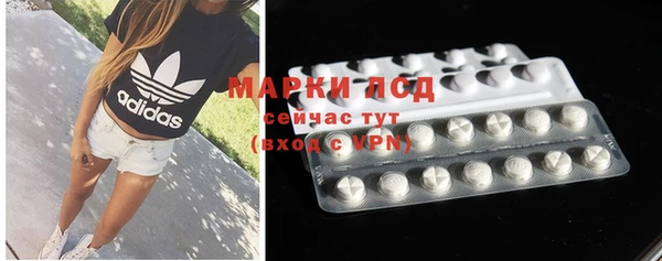 стафф Алзамай