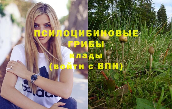 стафф Алзамай