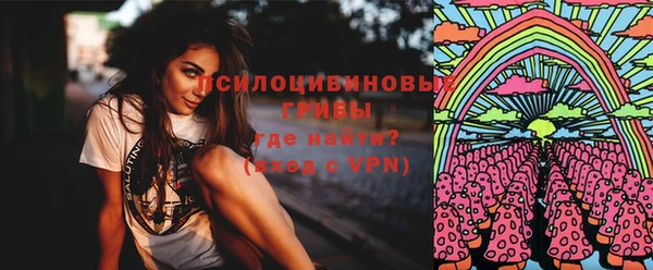 стафф Алзамай