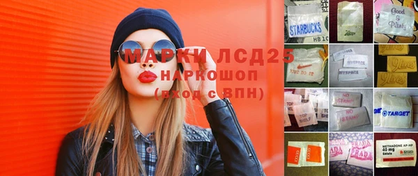 стафф Алзамай