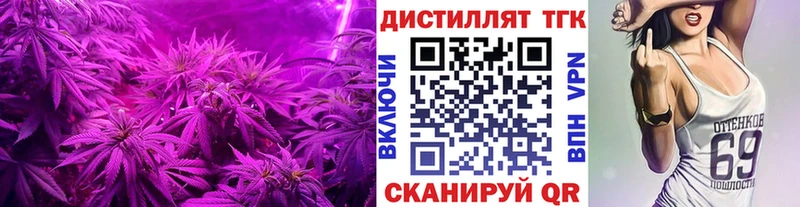 Купить где  Таштагол  ТГК концентрат 