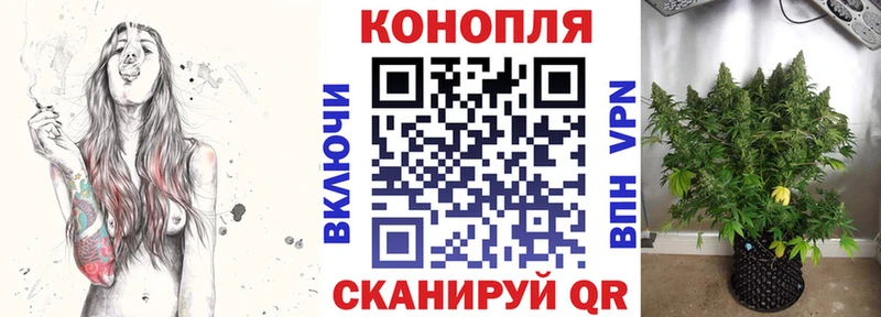 Купить  Таштагол  Конопля ГИДРОПОН 